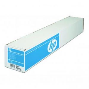 HP 610/15.2m/Professional Satin Photo, 610mmx15.2m, 24", Q8759A, 300 g/m2, foto papír, sat