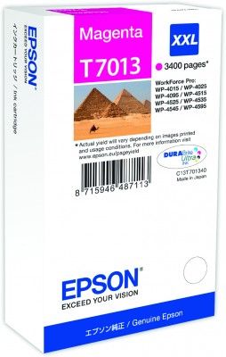 sws_281657527979