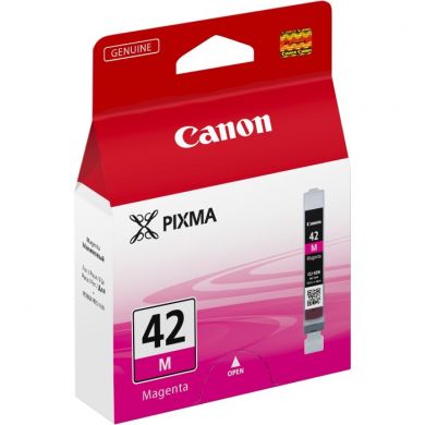 100mega_108899CARC8455
