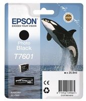 edcz_550219_0a_3
