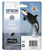 edcz_550232_0a_3