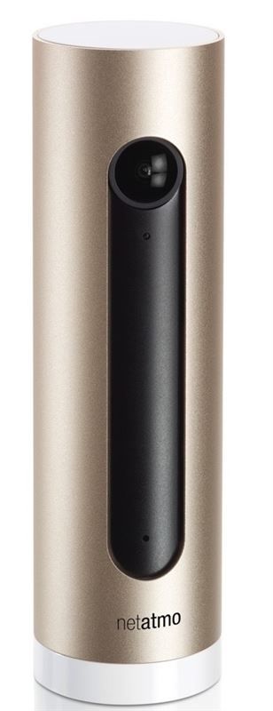 ingredi_{912FA1F6-1459-4851-A3EB-8CF29BE54B30}_V