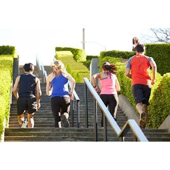 lama_SENO32MAU0FB_03