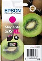 edcz_787395_0a_3