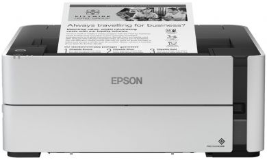 100mega_209310tise5602