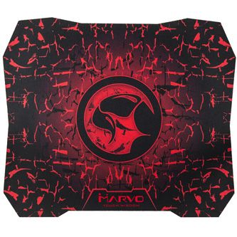 lama_ycmwcg37bc00_04