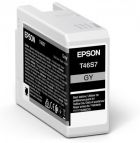 EPSON Singlepack Gray T46S7 Ultrachrome
