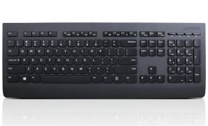 LENOVO Professional Wireless Keyboard DE