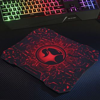 lama_ycmwcg36bd00_16