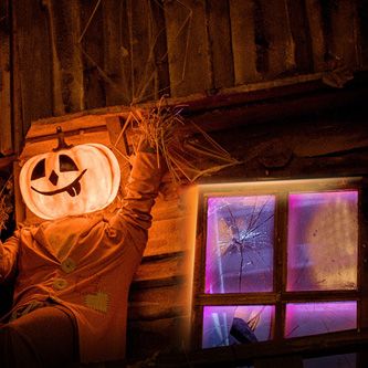 lama_lxcagaa2ta0t_04