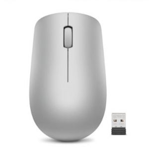 Lenovo myš CONS 530 bezdrátová = stříbrná (Platinum Grey)