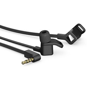 lama_qmhp8je67a0g_01