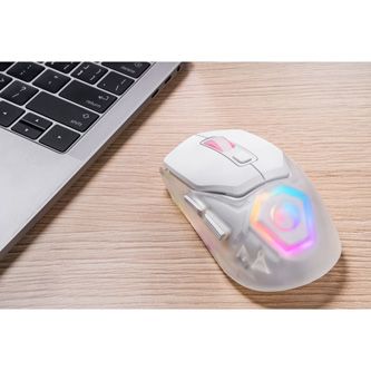 lama_mmmwwg1cgt00_03