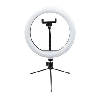 lama_qmwpl1rxgx0p_04