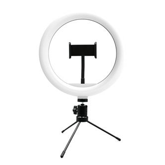 lama_qmwpl1wxgx0p_03