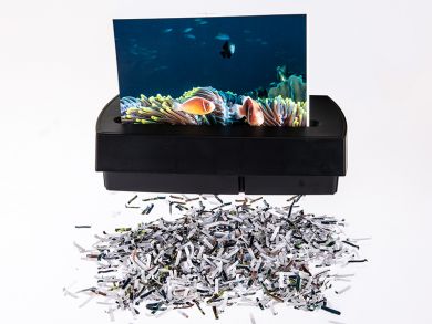 xertec_xrt-00232_14_800x600 (2)