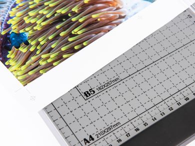 xertec_xrt-00236_14_xrt-00236 800x600 (8)