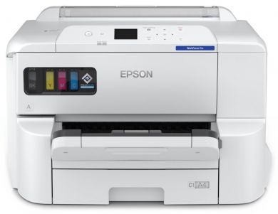 100mega_312696tise9811