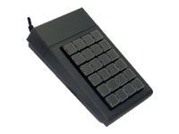 Active Key AK-100/24 - Klávesnice - USB - černá