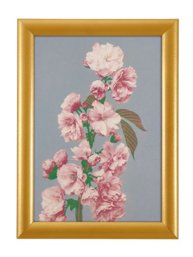 avetech_e2d516ce-e72e-4107-a65e-c8000620afb0_08070d57-6436-4947-8967-c9d1cf838a8a