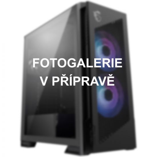 100mega_320956pchs2731