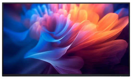 100mega_323477mond6340v