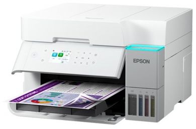 100mega_326073tise9818