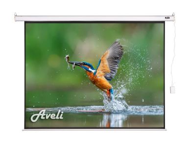 atc_979974284_14_xrt-00171_1_s