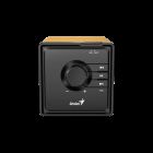 GENIUS SP-916BT/Borovicové dřevo/6W