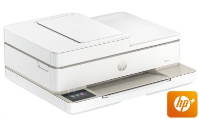 100mega_329140tish0236