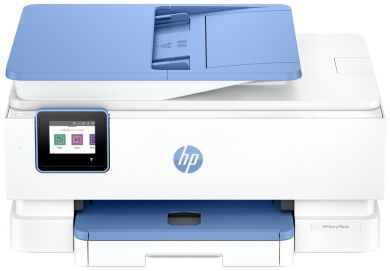 100mega_330709tish9956