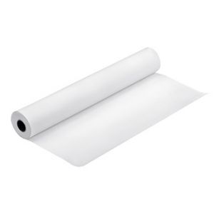 EPSON 330/30.5/Proofing Paper White Semimatte, 330mmx30.5m, 13", C13S042002, 256 g/m2, pap
