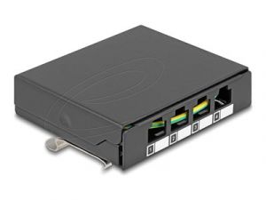 Delock - Patch panel (záslepný) - for keystone RJ-modules - montáž na kolejnici DIN, povrc