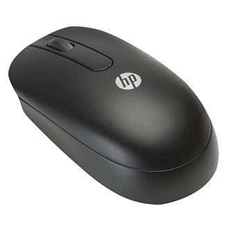 lama_mmhpz3q64a0g_01