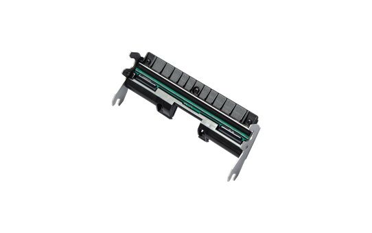 atc_317009857_251406-1-brother_pahu2001_s