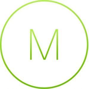 MS320-24P Enterprise License and Support, 1 Year