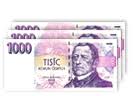 3000kč